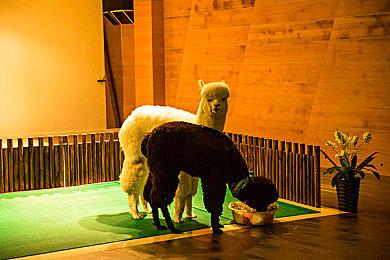 《消逝的光芒2》秋冬季更新计划发布 免费提供